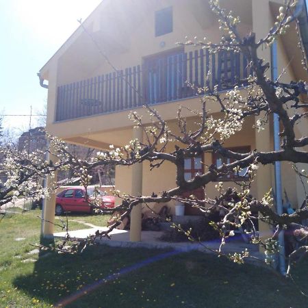 Dedinje Villa Jagodina Exterior photo